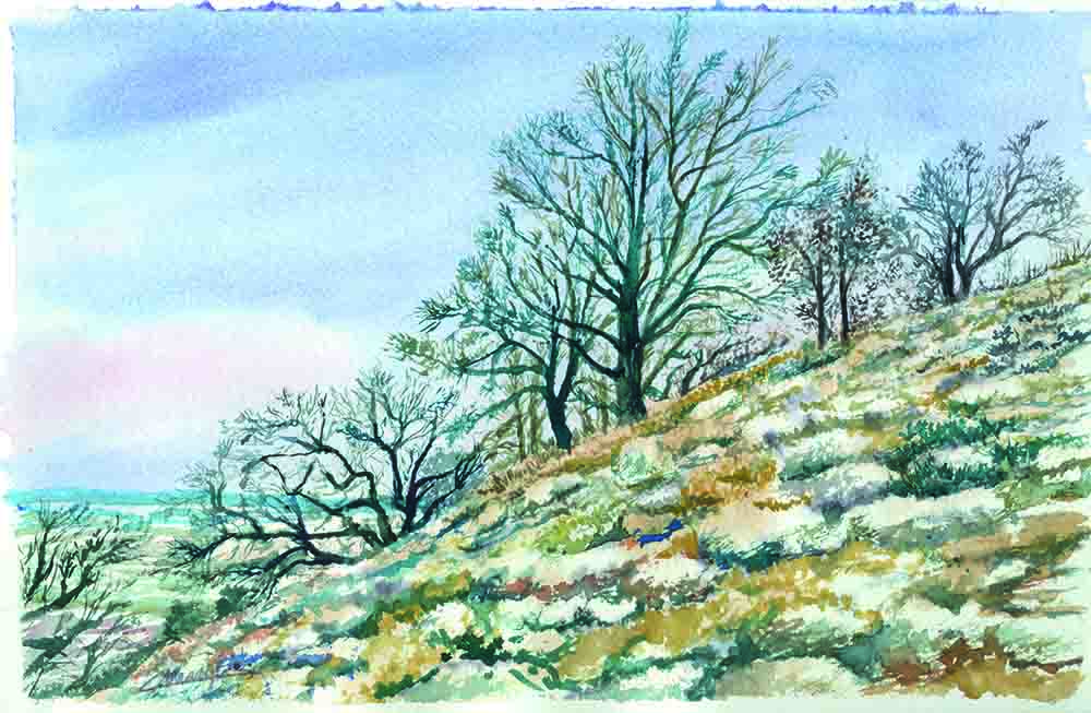 Presentación del Calendario de Alcolea