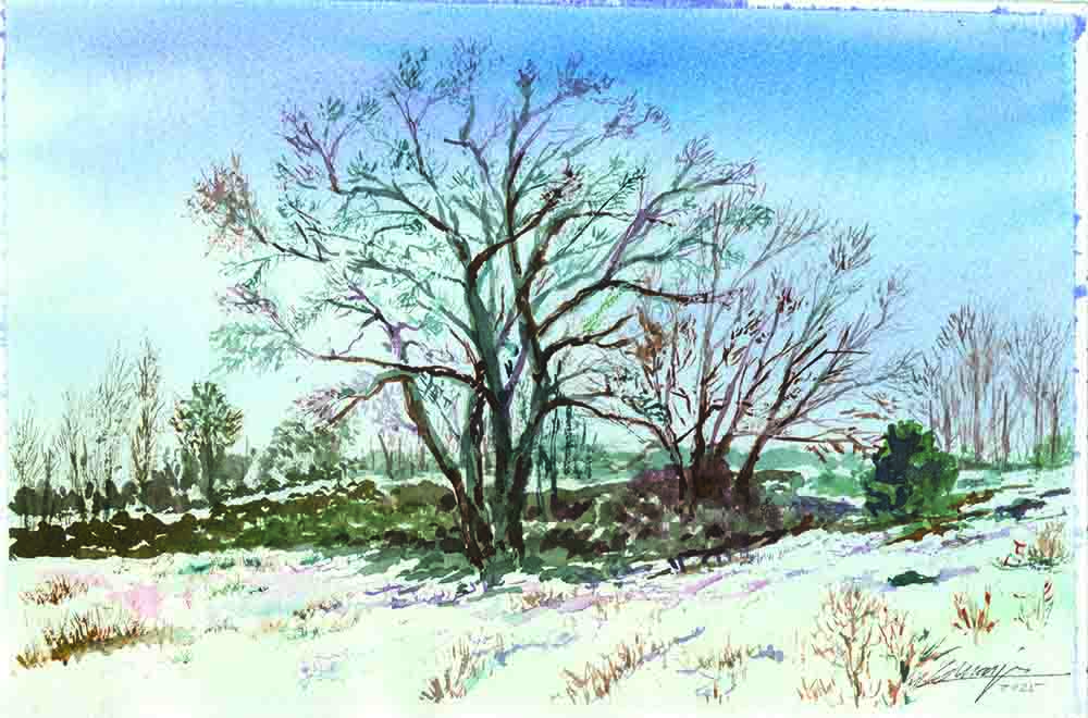 Presentación del Calendario de Alcolea