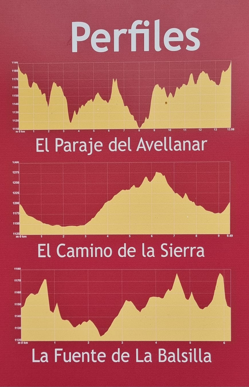 Rutas por el entorno natural