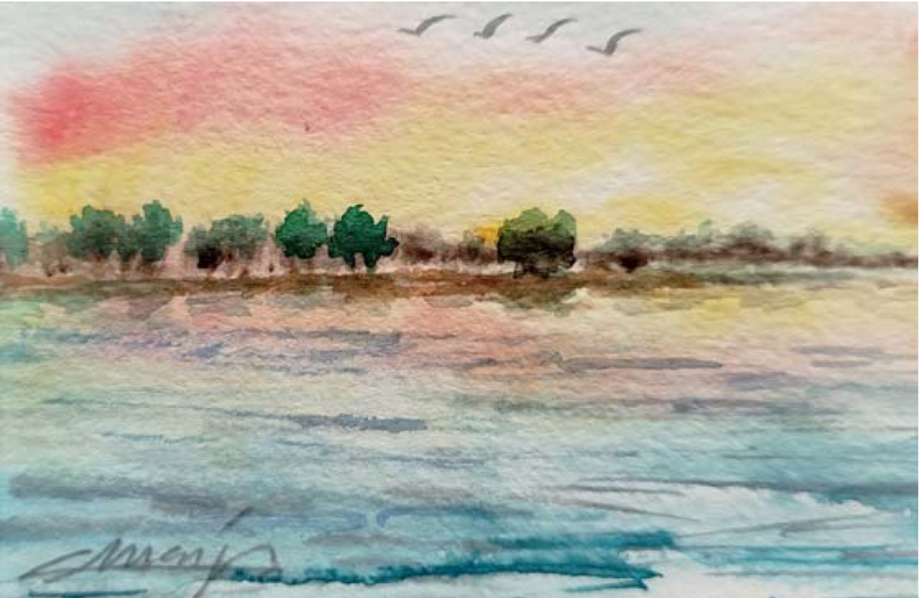 Amanecía en el lago y las siete gaviotas saludaban al cielo con su aleteo vibrante